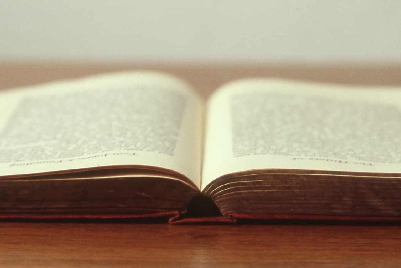 blog lezen