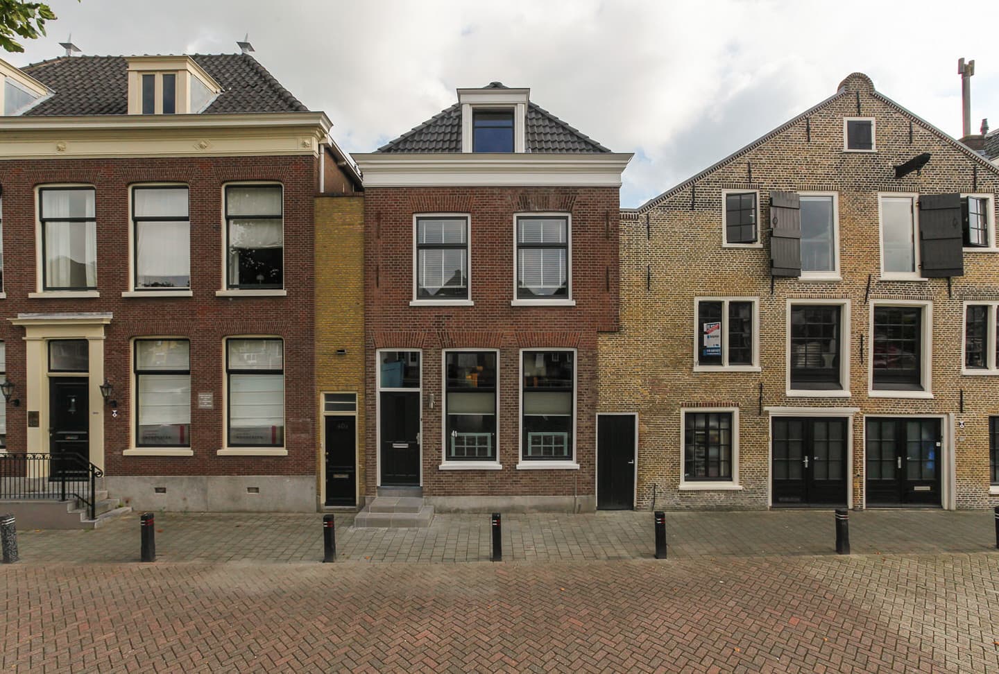 huisdolphijn
