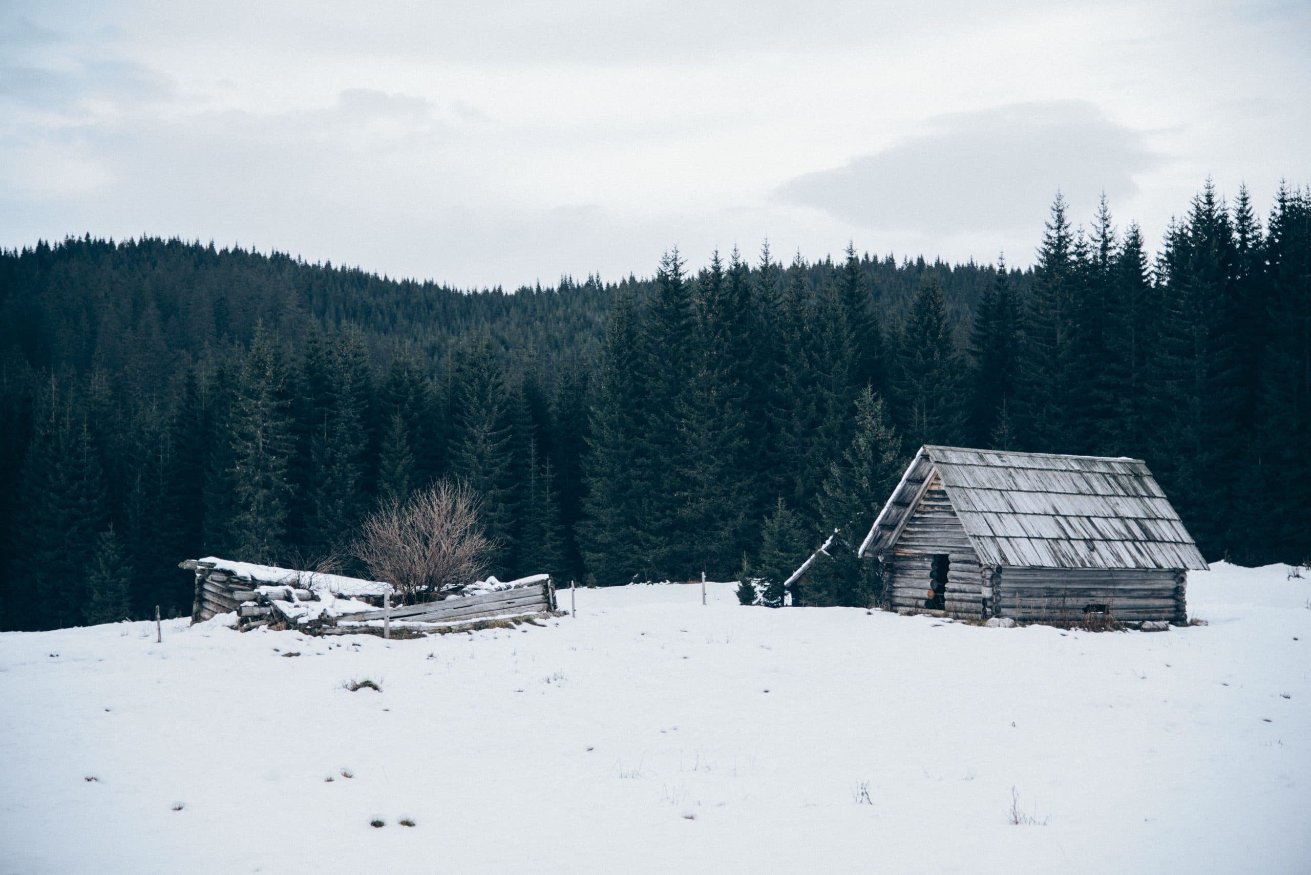winter-compressor