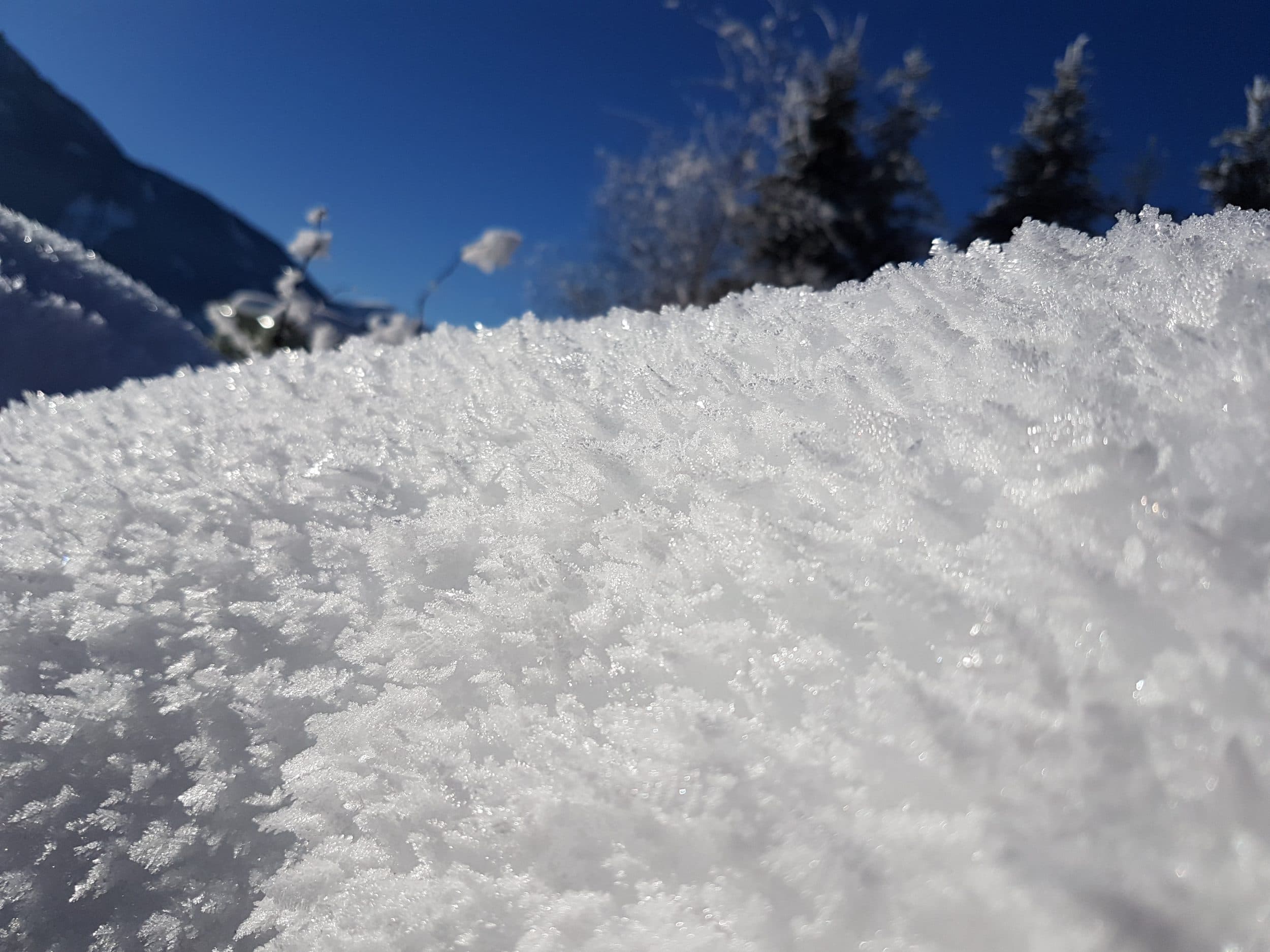 sneeuw-wereld