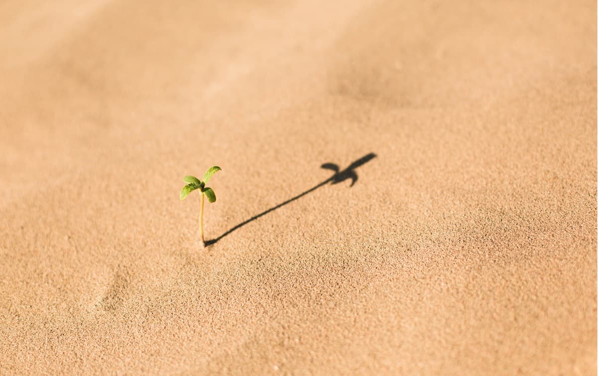 growth mindset cover